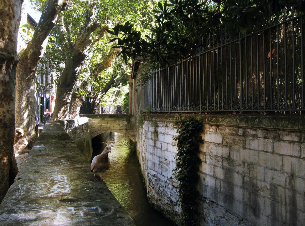 L'Heure Bleue - Charme Et Histoire Au Coeur D'Avignon Apartment Bagian luar foto